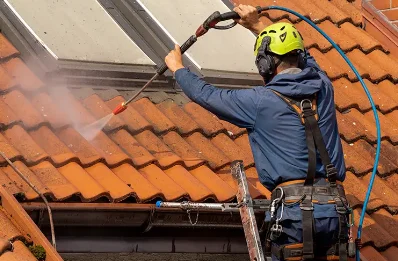 Démoussage et hydrofuge de toiture à Peyriat